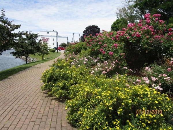 Fort Knox Inn image 12